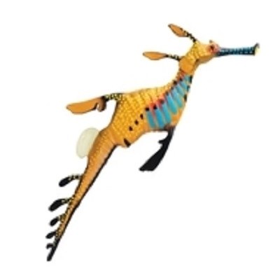 WEEDY SEADRAGON
