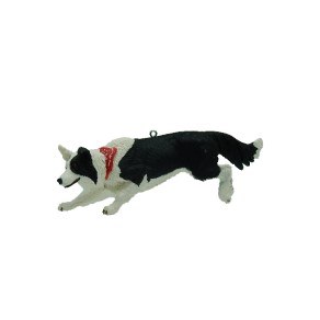 BORDER COLLIE