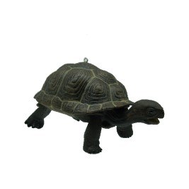 TORTOISE BABY