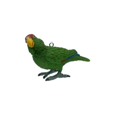 AMAZON PARROT