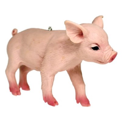 PIGLET