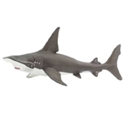 HAMMERHEAD SHARK