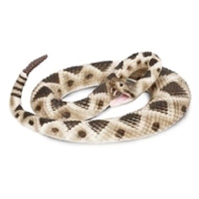 EASTRN DIAMONDBACK RATTLESNAKE