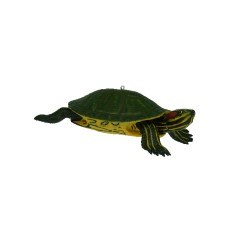 RED EARED SLIDER TURTLE