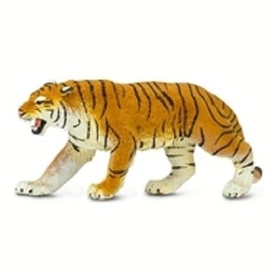 BENGAL TIGER
