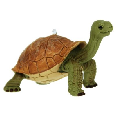 GIANT TORTOISE