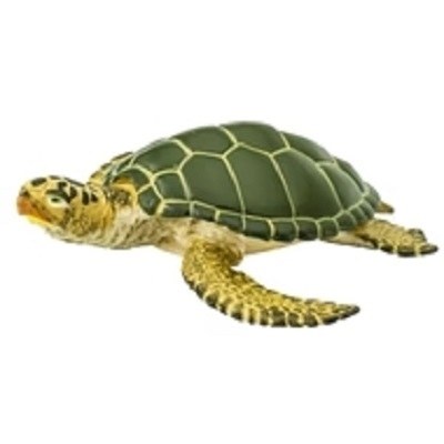 GREEN SEA TURTLE