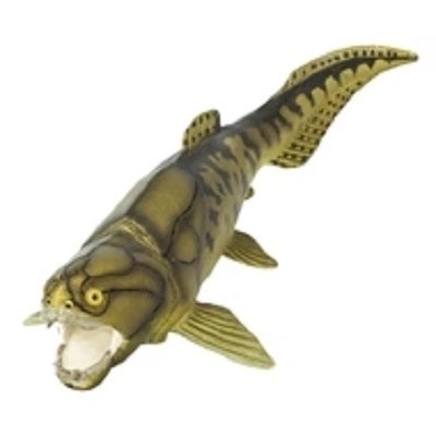 DUNKLEOSTEUS FISH