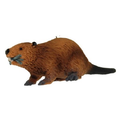 BEAVER