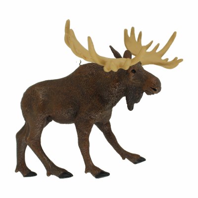 MOOSE
