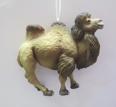 BACTRIAN CAMEL