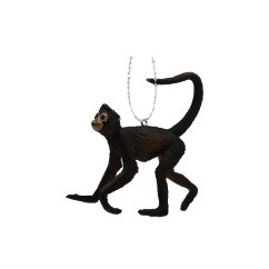 SPIDER MONKEY