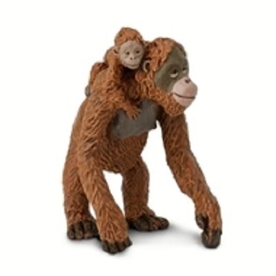 ORANGUTAN WITH BABY