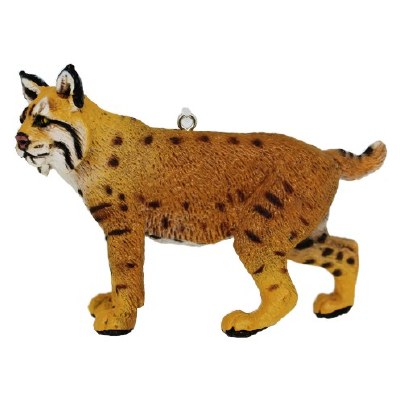 BOBCAT