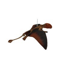 DIMORPHODON