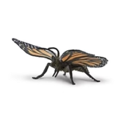 MONARCH BUTTERFLY