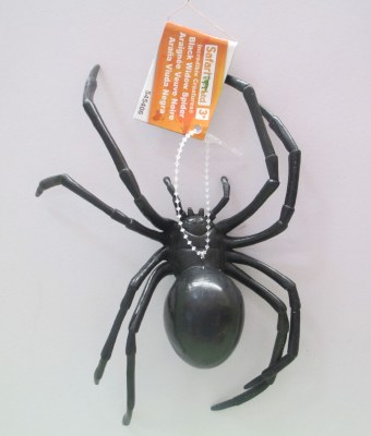 BLACK WIDOW SPIDER