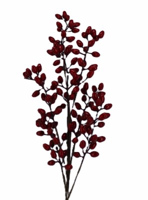 RED PEPER BERRY PICK