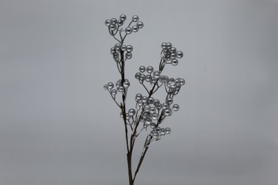 SILVER BERRY PICK
