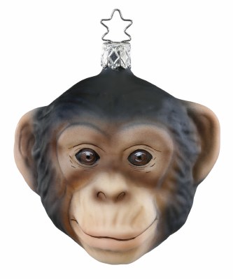 CHIMPANZE HEAD