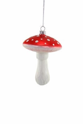 COSMIC MUSHROOM