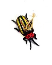 FOREST FLOOR BUGS