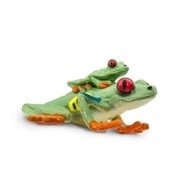 RED-EYE TREE FROG WITH BABY
