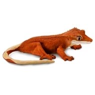 GECKO ORANGE