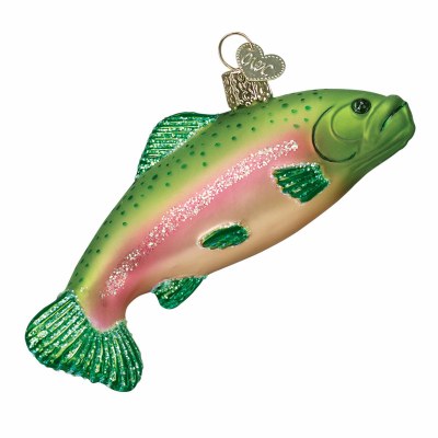 RAINBOW TROUT