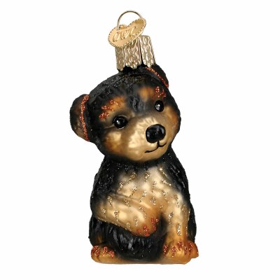 YORKIE PUPPY OLD WORLD