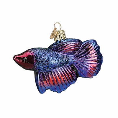 BETTA FISH OLD WORLD