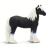 GYPSY VANNER STALLION