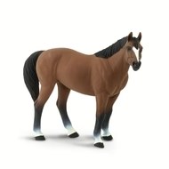 QUARTER HORSE GELDING