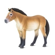 PRZEWALSKI'S HORSE