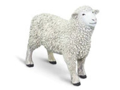 WHITE SHEEP