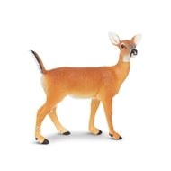WHITE TAIL DOE