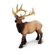 ELK BULL