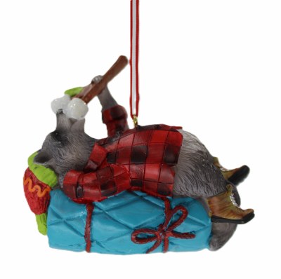 RACCOON CAMPING