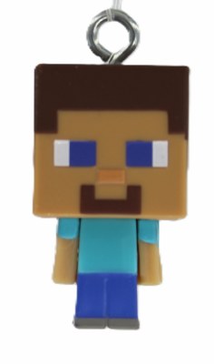 STEVE
