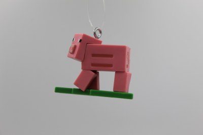 PIG