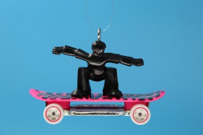 SKATEBOARDER