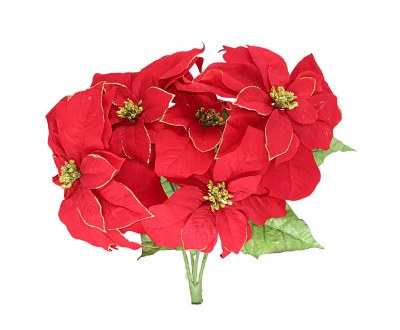 RED/ GOLD POINTSETTIA