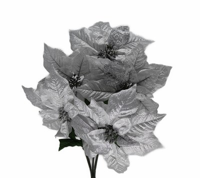SILVER POINTSETTIA