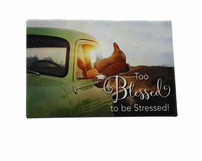 TOO BLESSED TO BE STRESSED