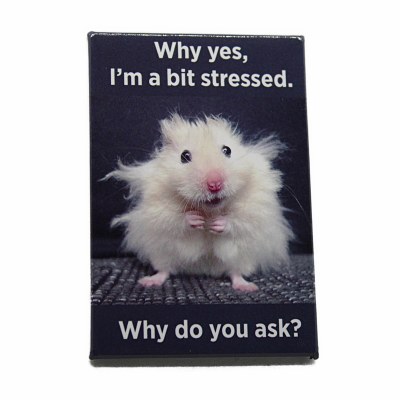 WHY YES, I'M A BIT STRESSED