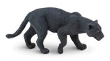 BLACK JAGUAR