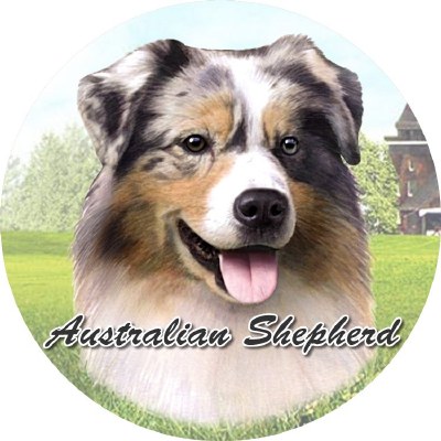 AUSTRALIAN SHEPHARD CAR COASTER