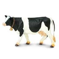 HOLSTEIN COW