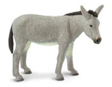 DONKEY