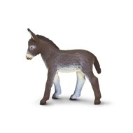 DONKEY FOAL